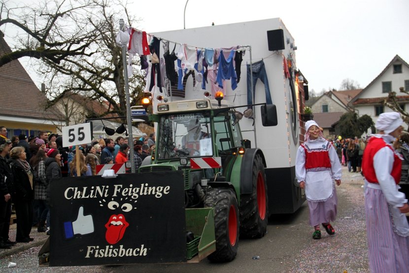 Sarmenstorf Fasnachtsumzug 16.02.2014 (215)